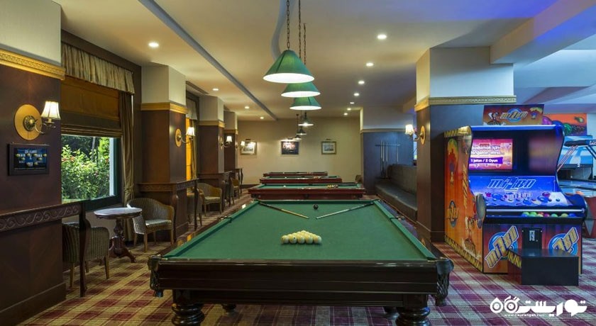 میز بیلیارد هتل دلفین پلس